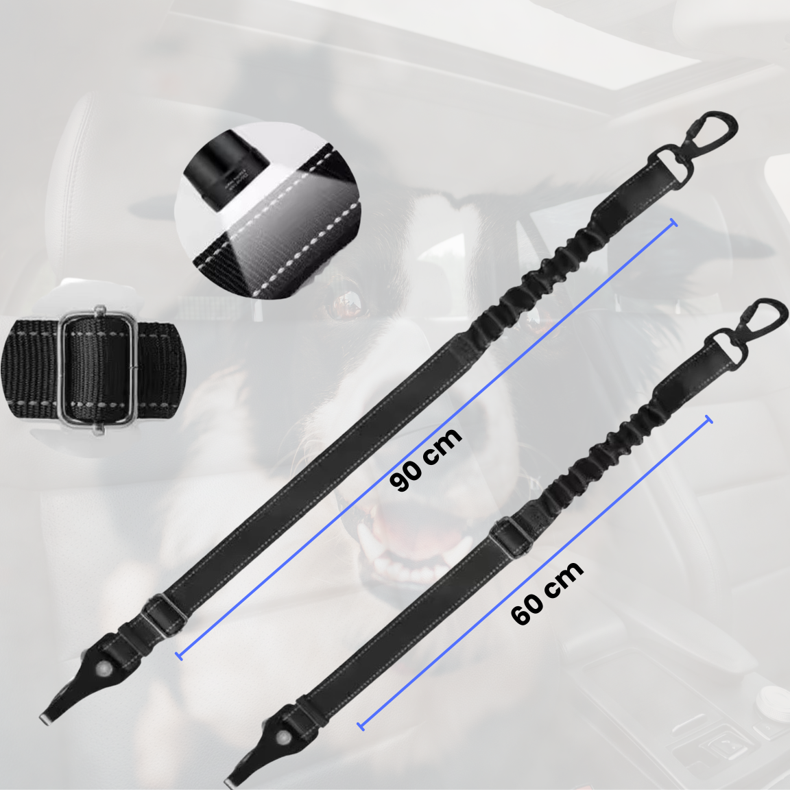 SafeDog Belt-Hund Auto Sicherheit