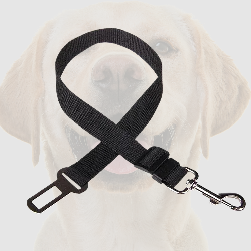SafeDog Belt-Hund Auto Sicherheit