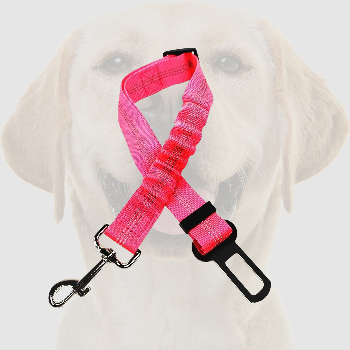 SafeDog Belt-Hund Auto Sicherheit