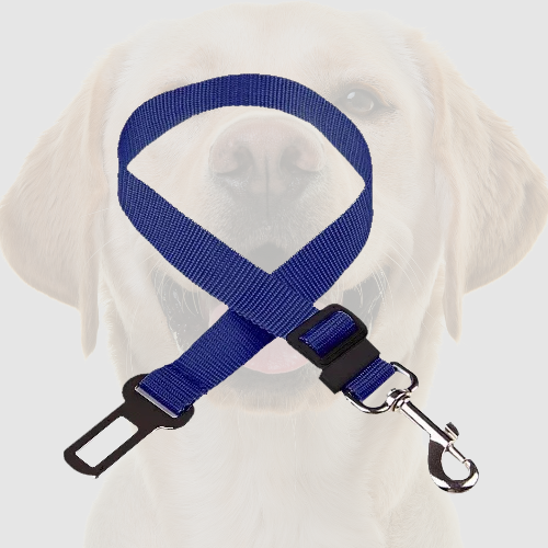 SafeDog Belt-Hund Auto Sicherheit