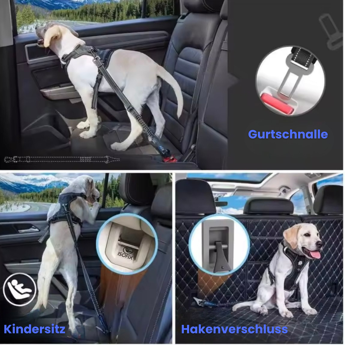 SafeDog Belt-Hund Auto Sicherheit