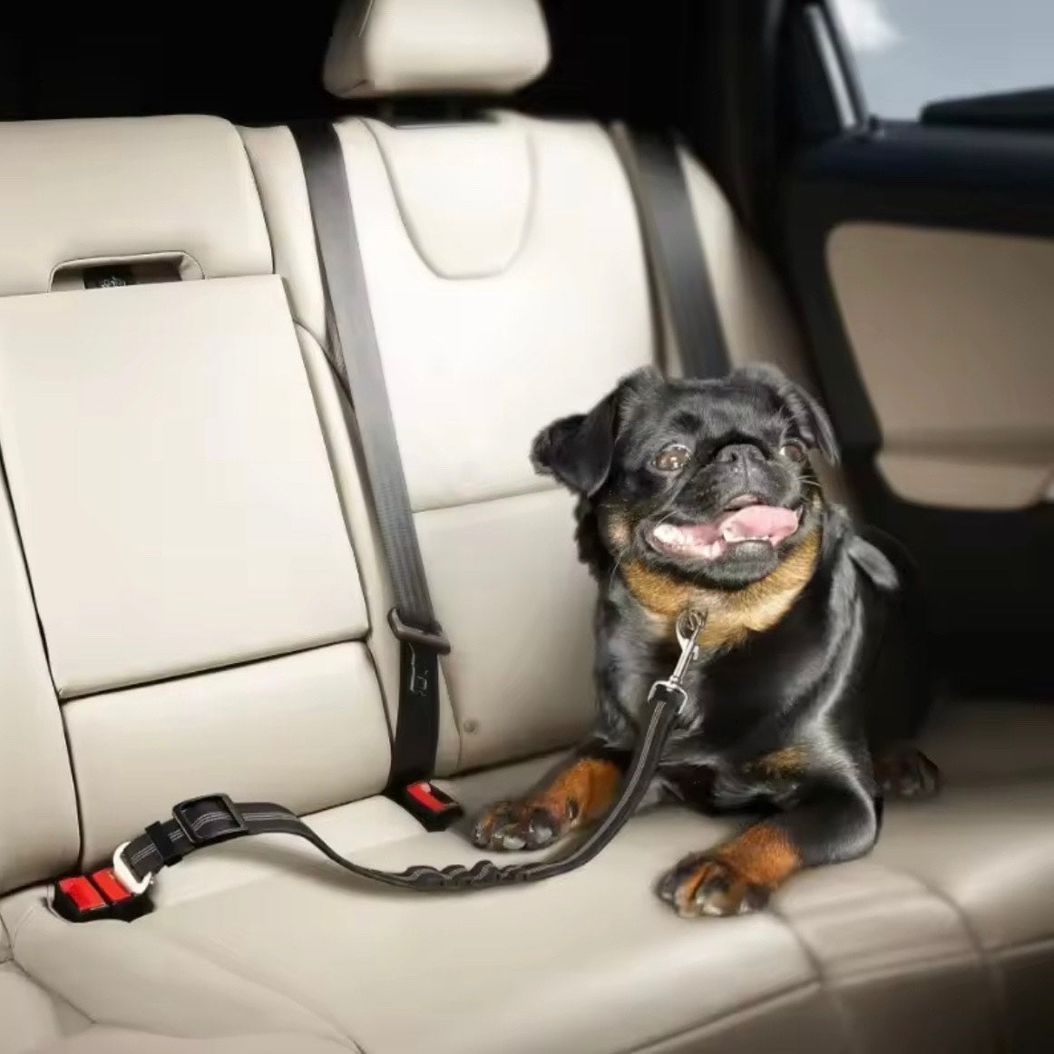 SafeDog Belt-Hund Auto Sicherheit